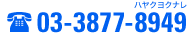 TEL:03-3877-8949